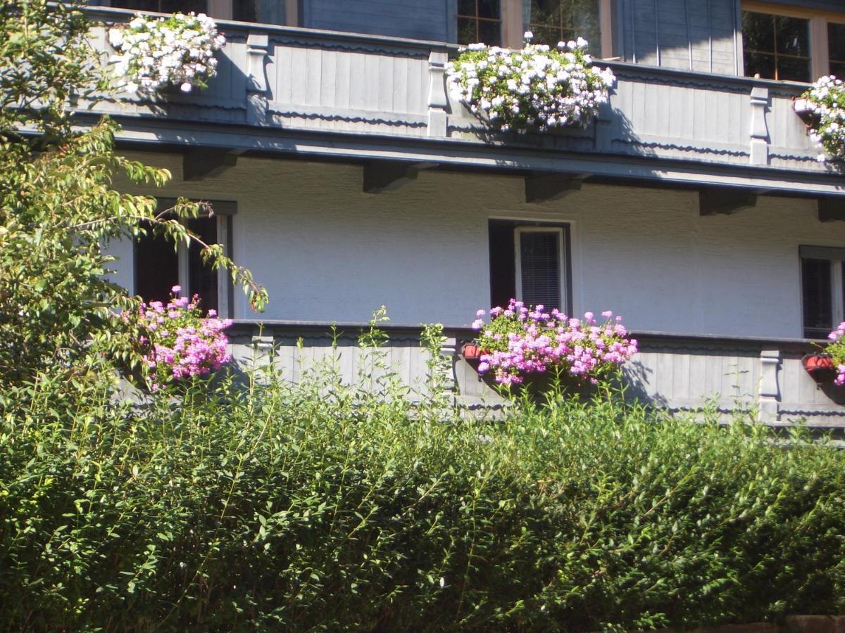 Meckyheim Apartment Mayrhofen Luaran gambar