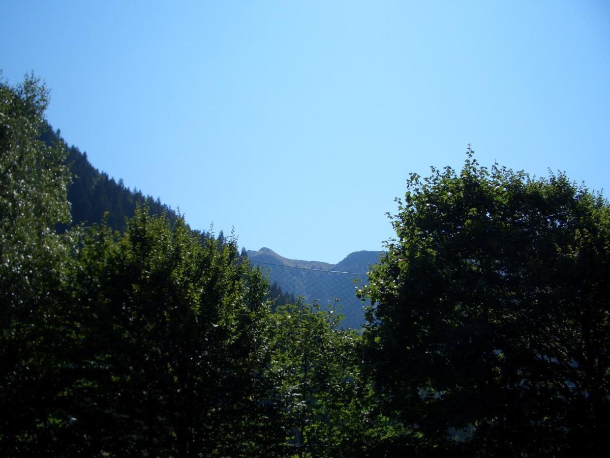Meckyheim Apartment Mayrhofen Luaran gambar