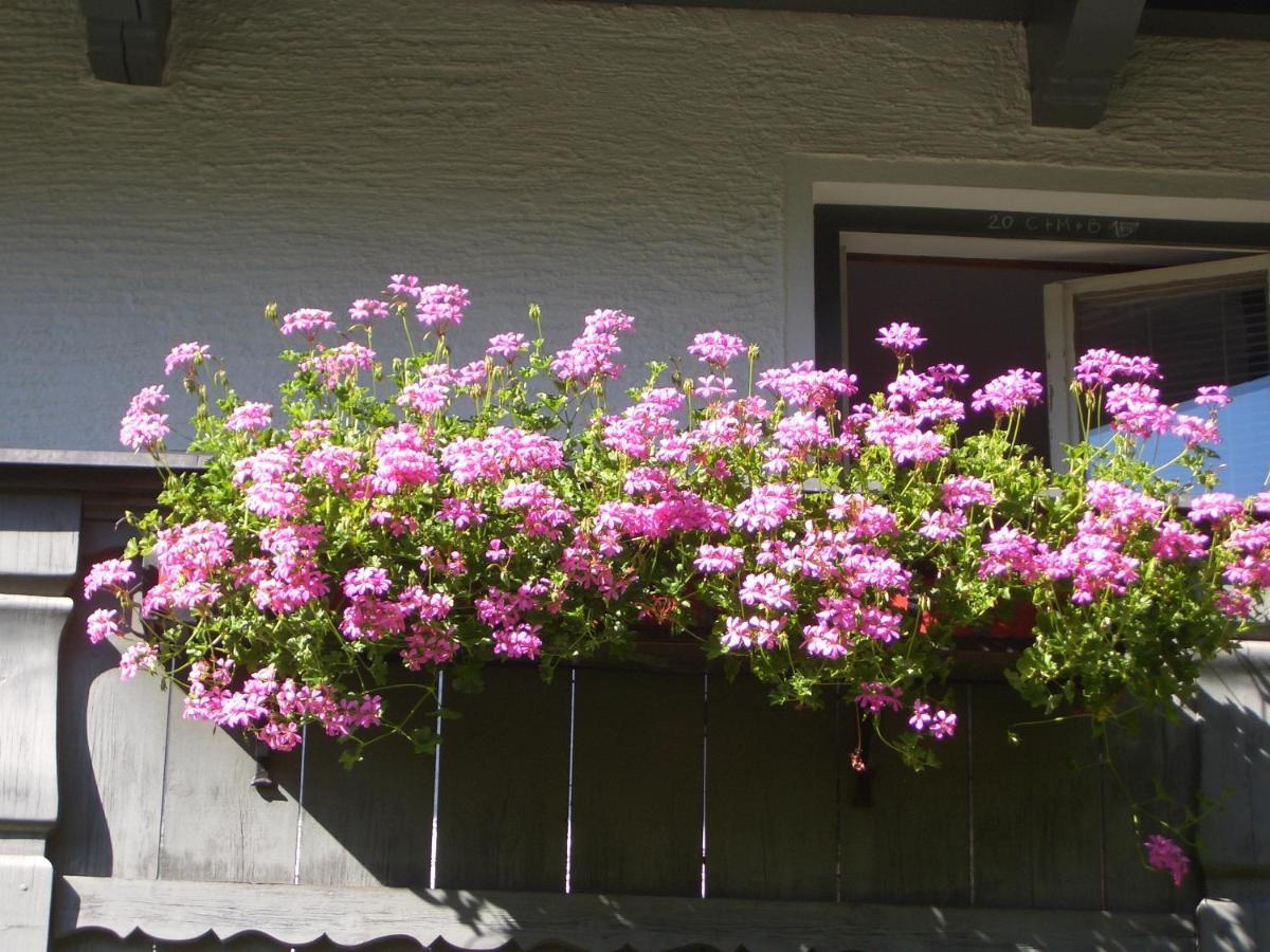 Meckyheim Apartment Mayrhofen Luaran gambar
